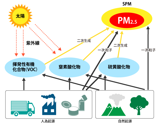 発生のメカニズム